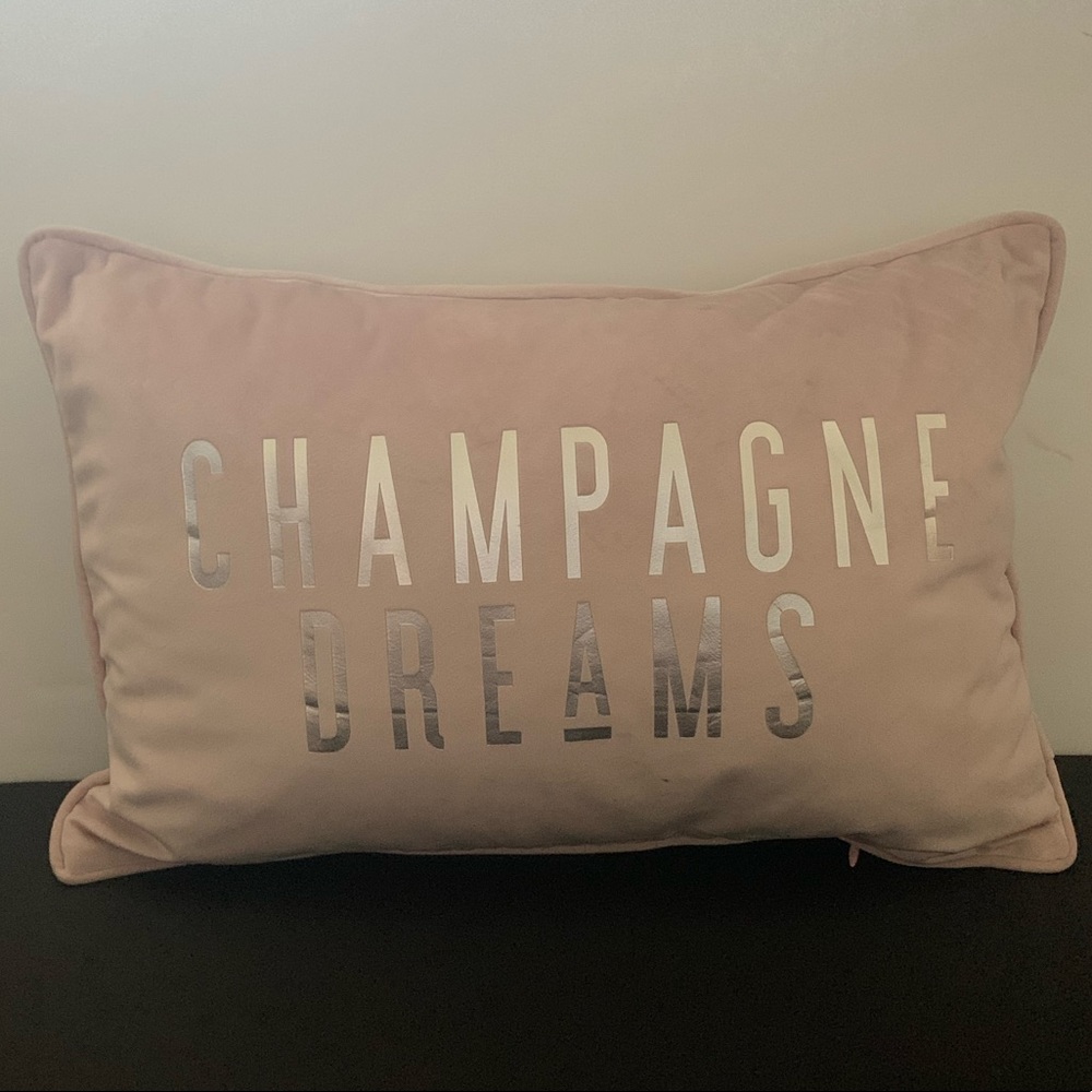 Blush Velvet Pillow